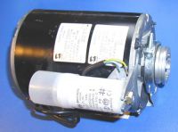 Antriebsmotor für Pumpen - 180 Watt - Aufnahme 48Y - 1,6A Pumpen bis 300L/ h (100GPH)